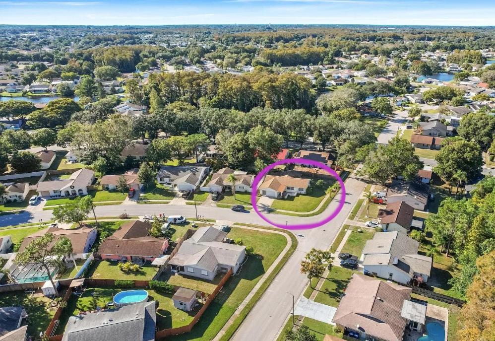 Villa "Impressa" - Billiard,Ping-Pong Table, Lanai, Fire Pit, Bbq Grill, View, Patio, Back Yard New Port Richey Eksteriør billede
