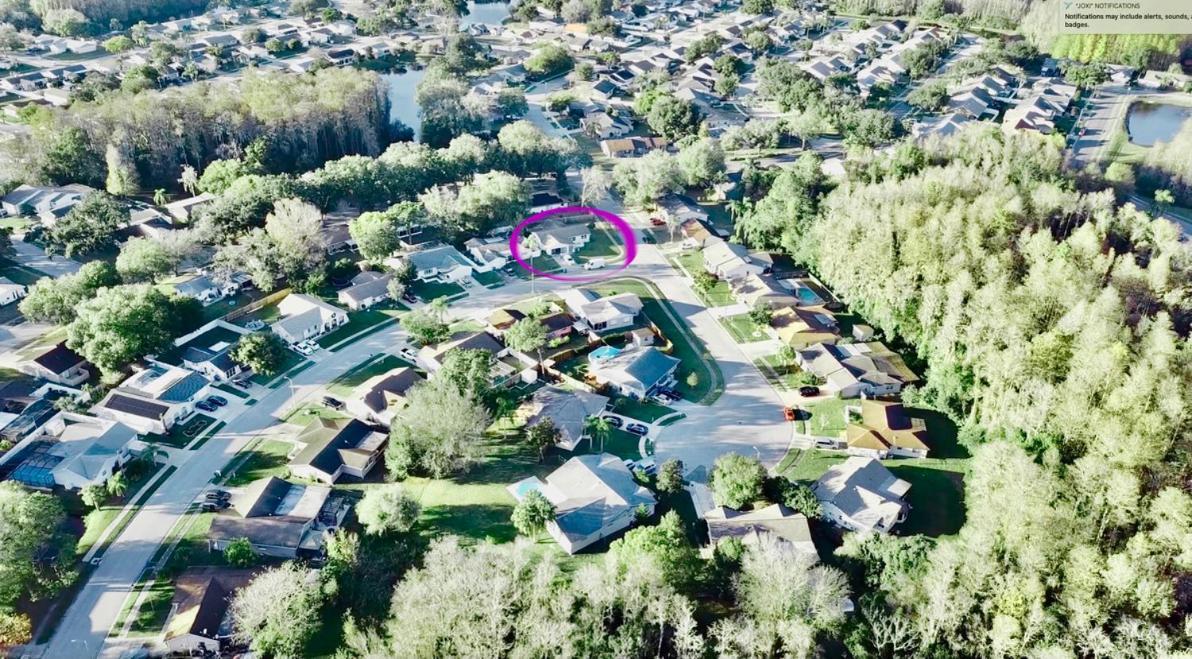 Villa "Impressa" - Billiard,Ping-Pong Table, Lanai, Fire Pit, Bbq Grill, View, Patio, Back Yard New Port Richey Eksteriør billede